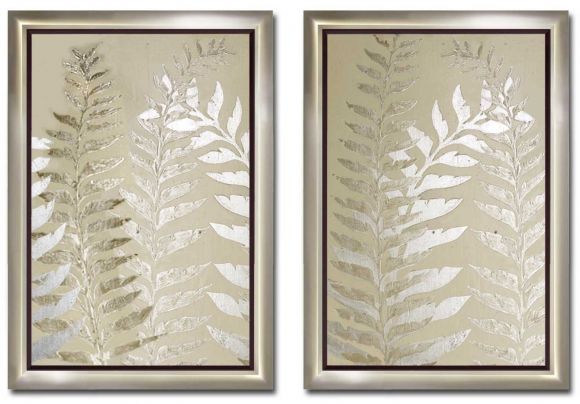 Ferns in standard factory frames