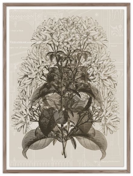 Architanicals 03 Print in a standard factory frame