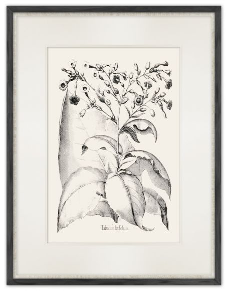 Besler 06 Print in a standard factory frame