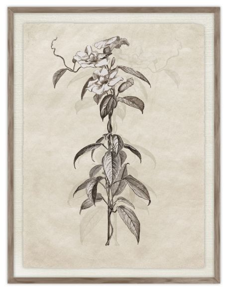 Daun 02 Print in a standard factory frame