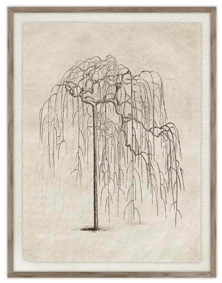 Daun 03 Print in a standard factory frame