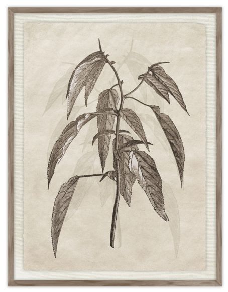 Daun 06 Print in a standard factory frame