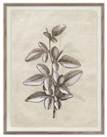 Daun 09 Print in a standard factory frame