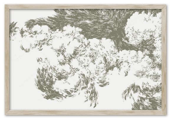 Ravin botanical prints in standard factory frames