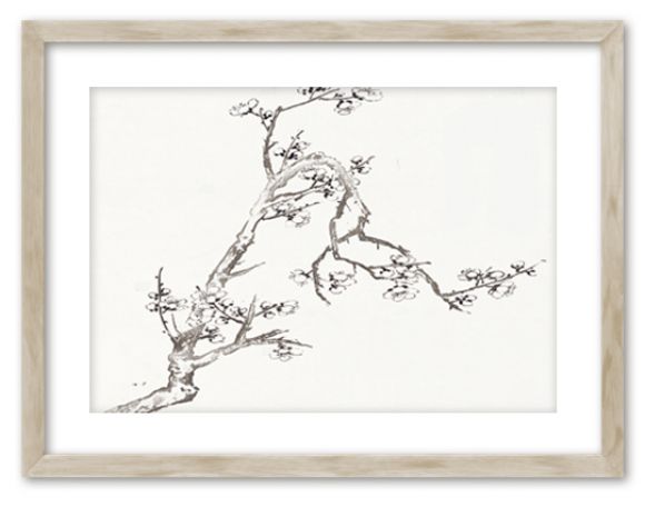 Ravin botanical prints in standard factory frames