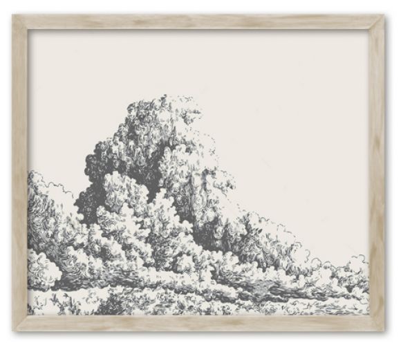 Ravin botanical prints in standard factory frames