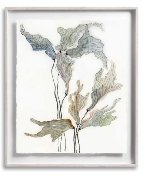 Tinted Chiffon 01 in a Standard Frame