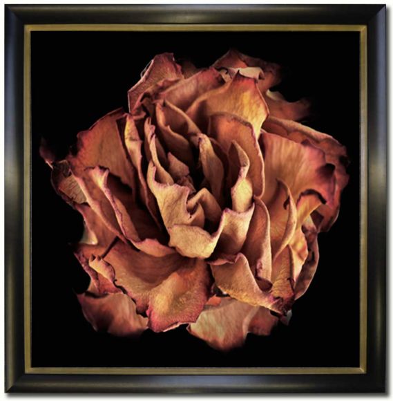 Miranda Photography 04 in a standard frame