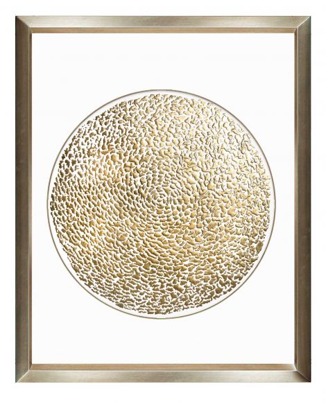 Golden Globe  in deluxe hand made frame