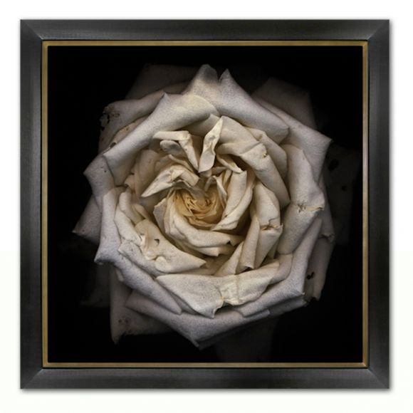 Miranda Photography in deluxe handmade frames