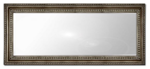 Serpentine - mirror in a deluxe mirror frame