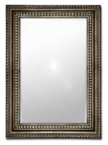 Serpentine - mirror in a deluxe mirror frame
